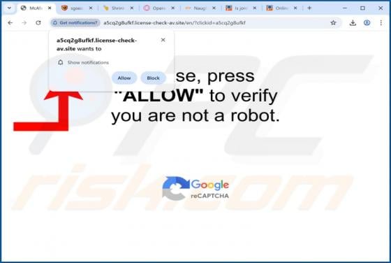 Anúncios de License-check-av.site