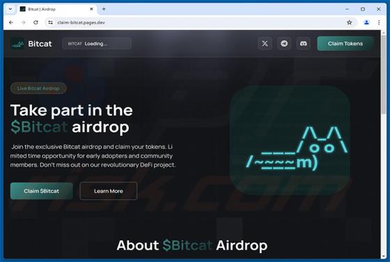 $Bitcat Airdrop golpe