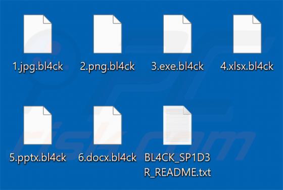 BL4CK SP1D3R Ransomware
