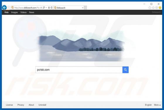 Redirecionamento didisearch.com