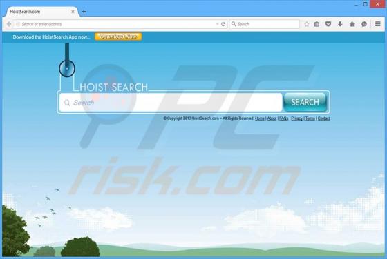 Redirecionamento HoistSearch.com