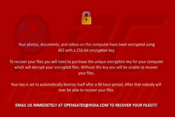 Ransomware Nuke