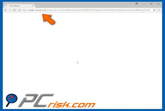 Redirecionamento do POP-UP White-canary.com