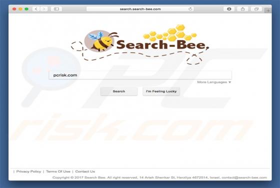 Redirecionamento search.search-bee.com (Mac)