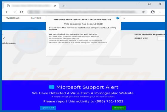 POP-UP da fraude PORNOGRAPHIC VIRUS ALERT FROM MICROSOFT