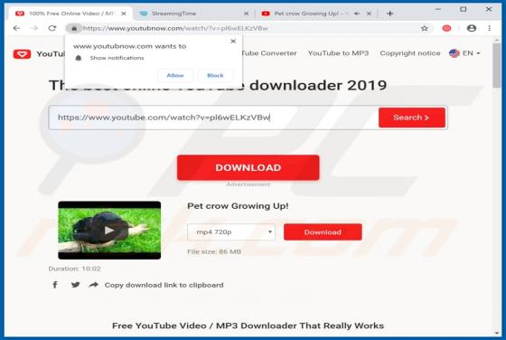 Vírus Youtubnow.com