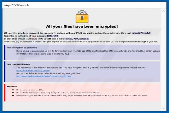 Ransomware Ninja