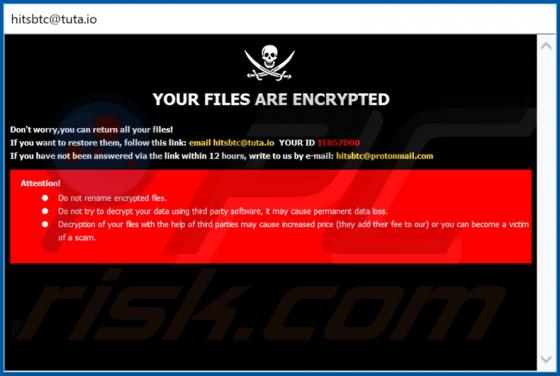 Ransomware FRM